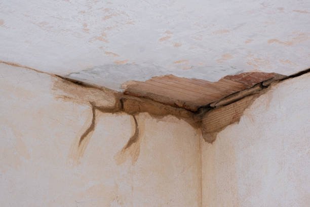 Best Basement water damage restoration  in Winters, TX