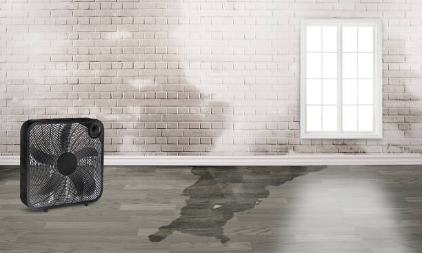 Best Commercial water damage restoration  in Winters, TX