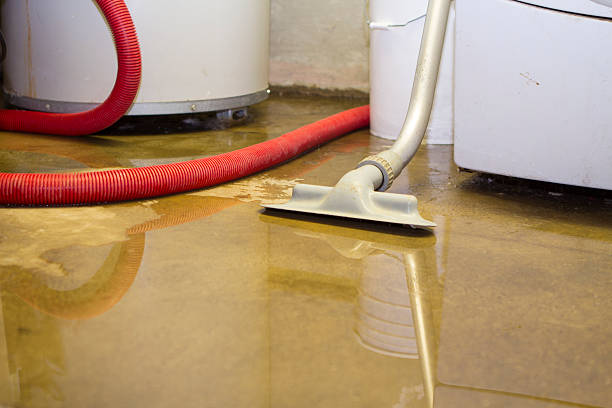 Best Local water damage restoration  in Winters, TX